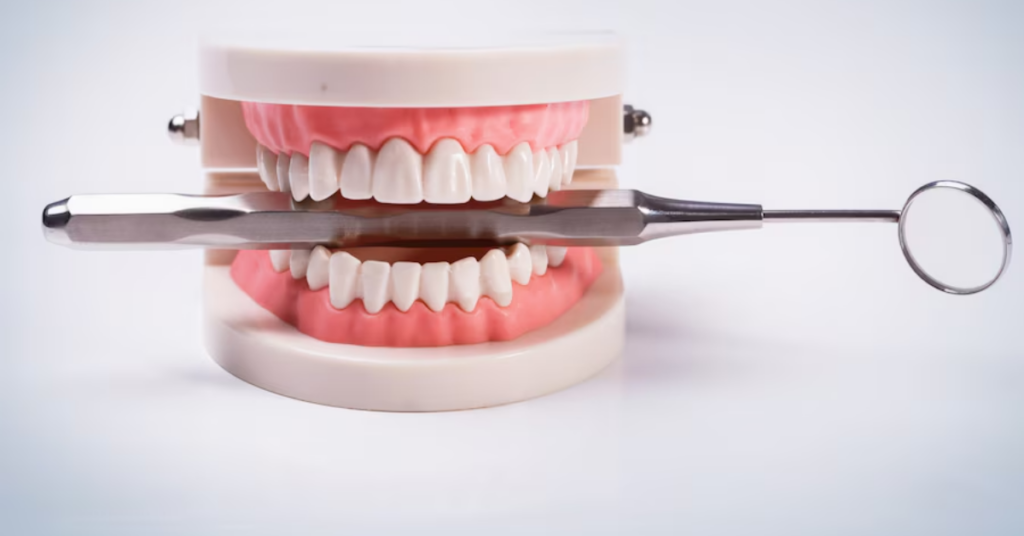 orthodontic treatments in North Lakeland